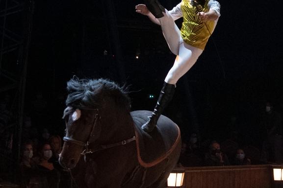 “Les Folies Gruss”, un spectacle équestre fabuleux !