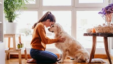 Casting femme de 30 à 40 ans avec chien pour publicité digitale