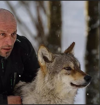 Christophe Debono, l’homme qui murmurait à l’oreille des animaux vous invite à découvrir le monde secret du métier de dresseur animalier.