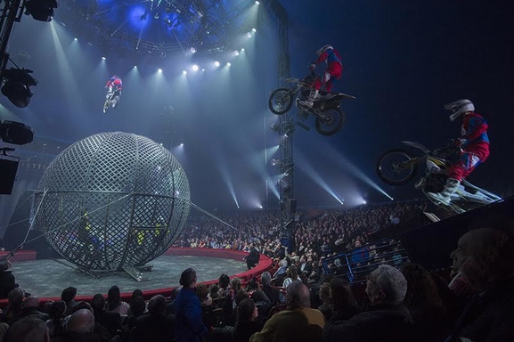 Le cirque Arlette Gruss vous accueille pour son spectacle-anniversaire