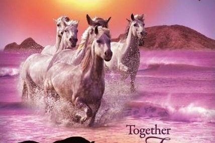 Gagnez des places pour le spectacle "Together Forever" !