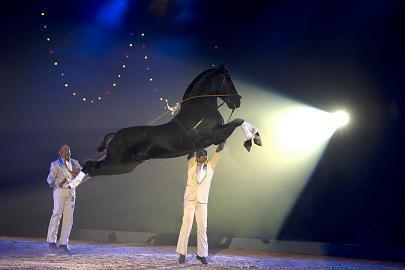 Spectacle "Together Forever" d'Apassionata à Paris Bercy !