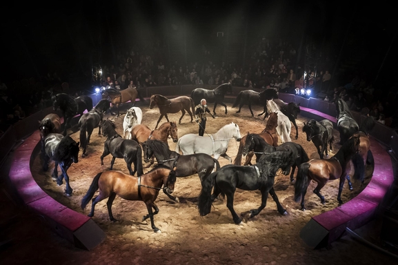 Le cirque Alexis Gruss et Les Farfadais vous présentent Quintessence! Ecuyers et acrobates pour un moment époustouflant et inoubliable.