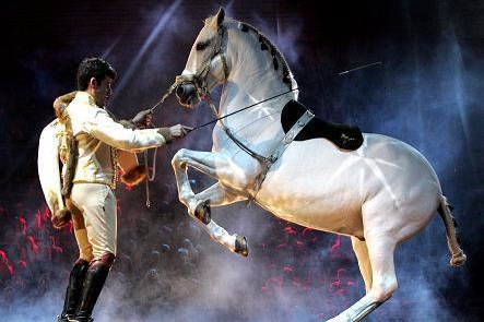 Spectacle "Together Forever" d'Apassionata à Paris Bercy !