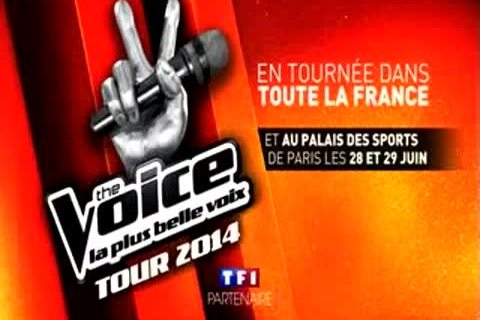 The Voice Tour 2014