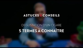 Astuces & Conseils : Dégustation d'un cigare - 5 termes à connaître