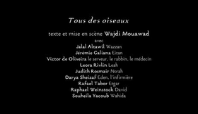 Bande Annonce "Tous des Oiseaux"